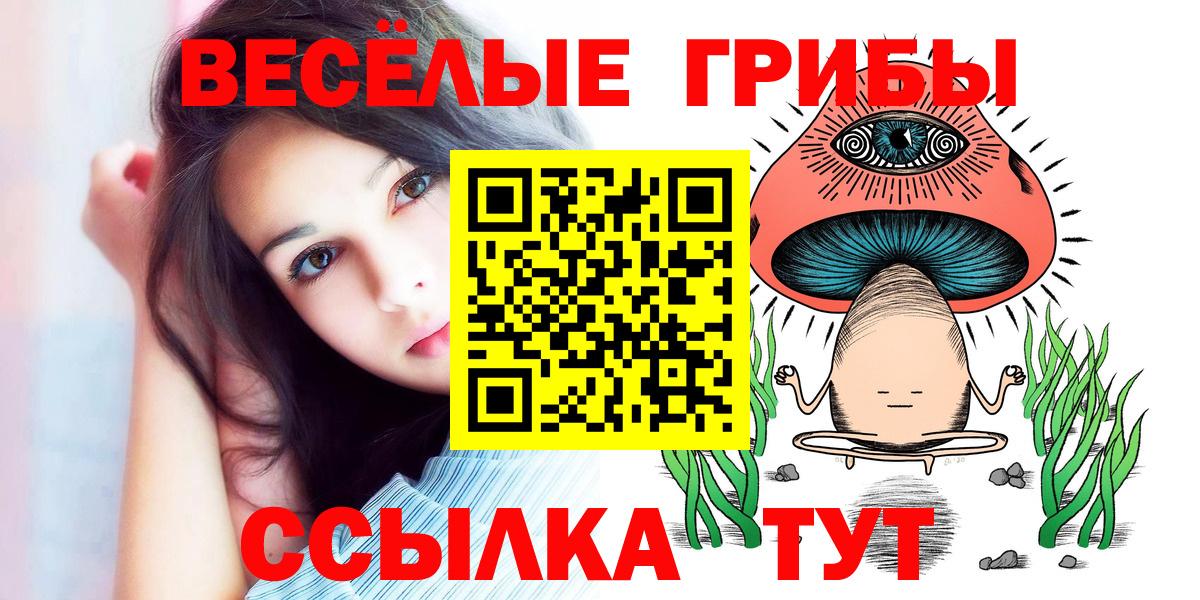 Галлюциногенные грибы GOLDEN TEACHER  Вход с VPN  Ярославль 