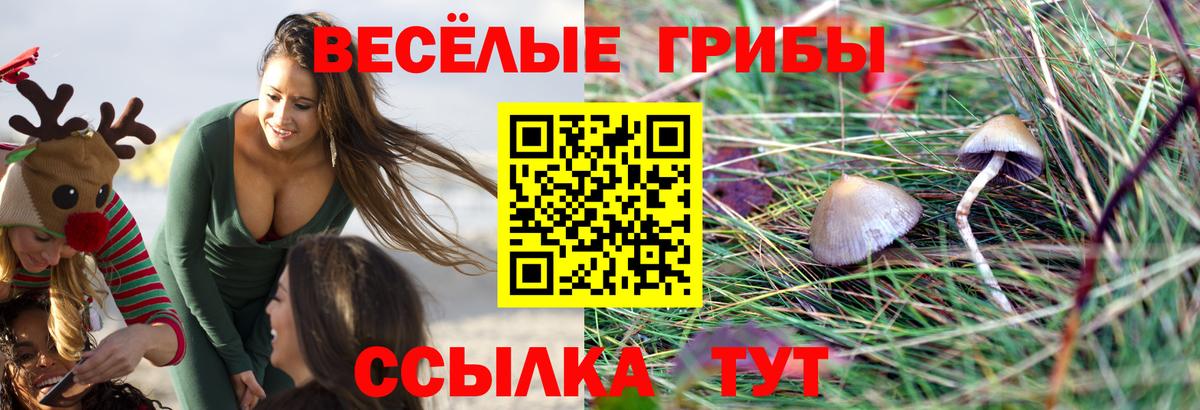 Галлюциногенные грибы Magic Shrooms Ярославль
